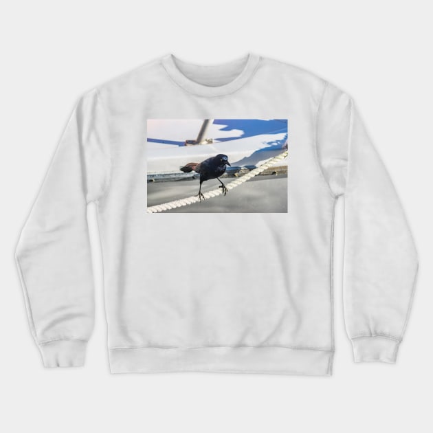 Walking the Rope Crewneck Sweatshirt by KensLensDesigns